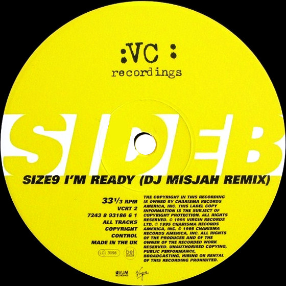 Josh Wink - I'm Ready - Used Vinyl Record 12" image 4