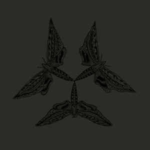 Brown - Lepidoptera - Vinyl Record image 1
