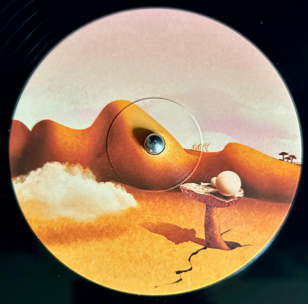Skyrager - Traces Of Illusion - Vinyl Record 2xlp image 3