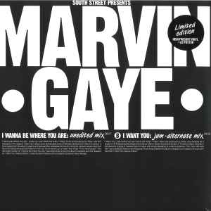 Marvin Gaye - I Wanna Be Where You Are / I Want You - Vinyl Record 1 image 1