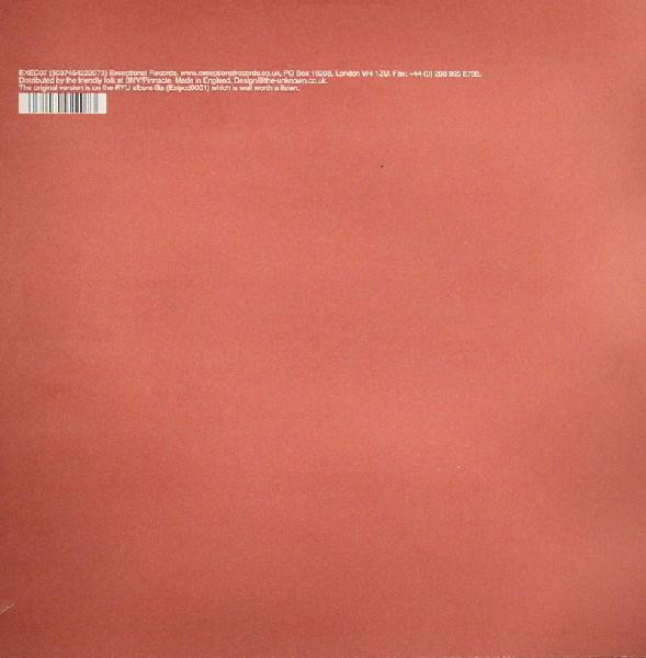 RYU - Never Too Soon - Used Vinyl Record 12" image 2