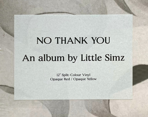 Little Simz - No Thank You - Vinyl Record 2xlp image 2