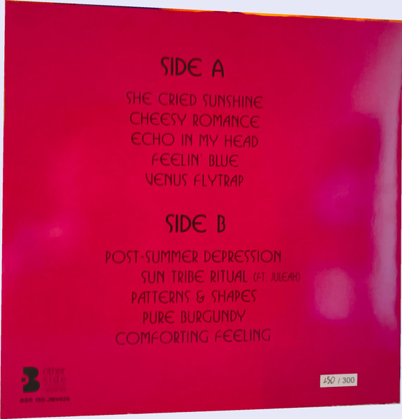 Polaroid Buffalo Clu - B-Movie Sundown - Vinyl Record lp image 2