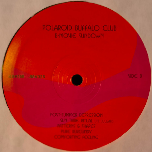 Polaroid Buffalo Clu - B-Movie Sundown - Vinyl Record lp image 6