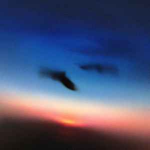 Resavoir - Vinyl Record lp image 1