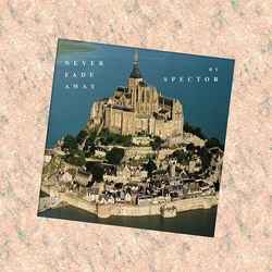 Spector - Never Fade Away - Used Vinyl Record 7" image 1