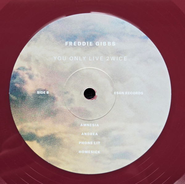 Freddie Gibbs - You Only Live 2wice - Vinyl Record lp image 6