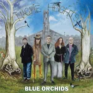 Blue Orchids - Magpie Heights - Used Vinyl Record lp image 1