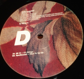 Lottie - Snapshot - Vinyl Record image 8
