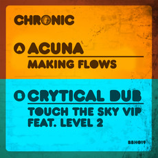 Acuna / Critycal Dub - Making Flows / Touch The Sky VIP - Vinyl Recor image 2