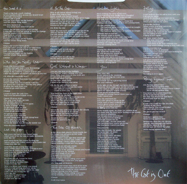 Judie Tzuke - Cat Is Out - Used Vinyl Record image 4