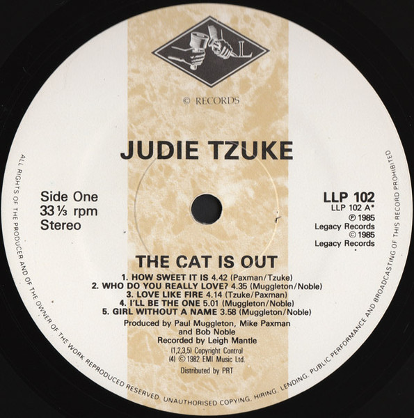 Judie Tzuke - Cat Is Out - Used Vinyl Record image 5