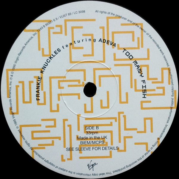 Frankie Knuckles - Too Many Fish - Used Vinyl Record 12" image 4