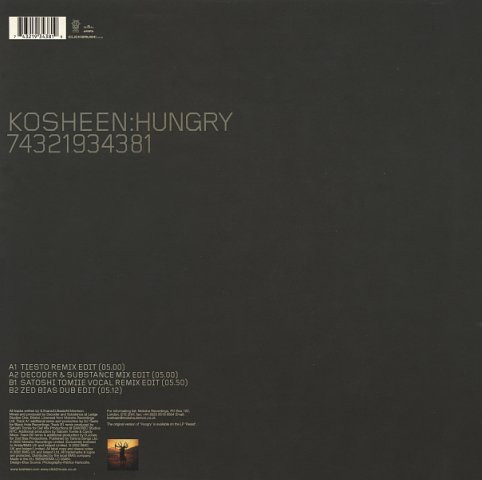 Kosheen - Hungry - Used Vinyl Record 12" image 2