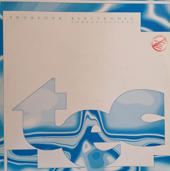 Wicked Wipe - Rok Da House - Used Vinyl Record 12" image 3