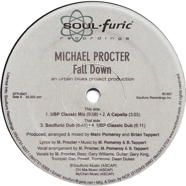 Michael Procter - Fall Down - Used Vinyl Record 12" image 2