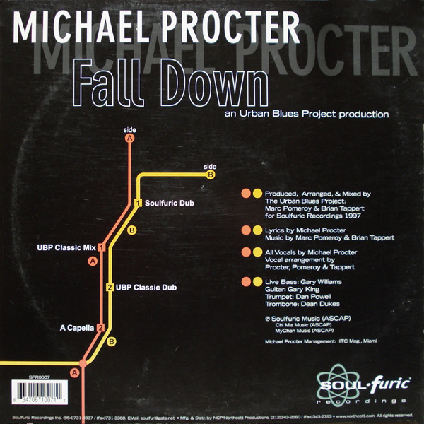 Michael Procter - Fall Down - Used Vinyl Record 12" image 4