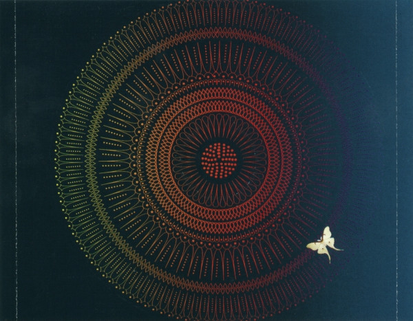 Quantic - Apricot Morning - CD image 2
