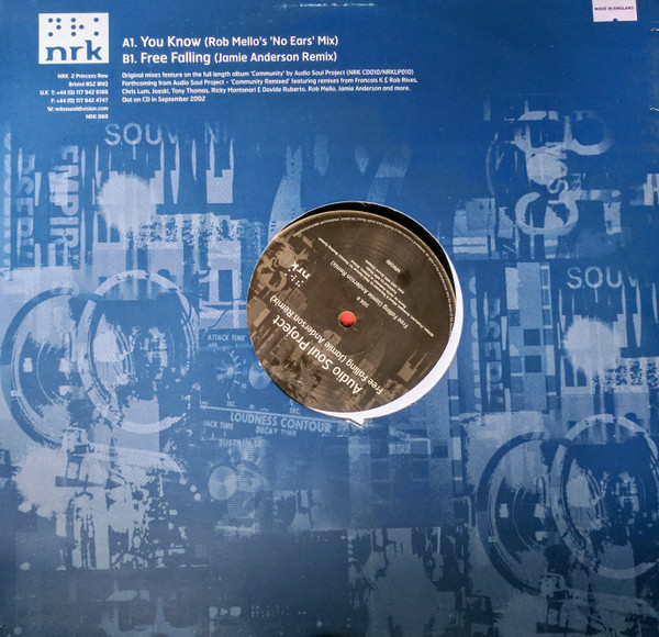 Audio Soul Project - You Know / Free Falling - Used Vinyl Record 12" image 2