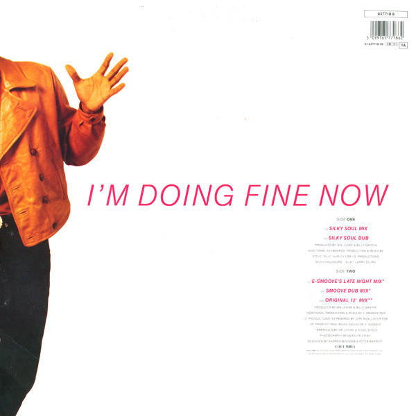 Pasadenas - I'm Doing Fine Now - Used Vinyl Record 12" image 2