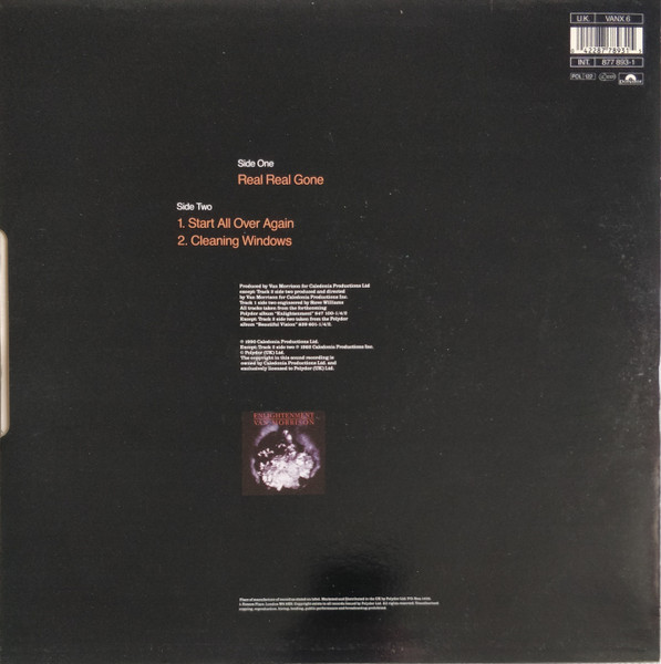 Van Morrison - Real Real Gone - Used Vinyl Record 12" image 2