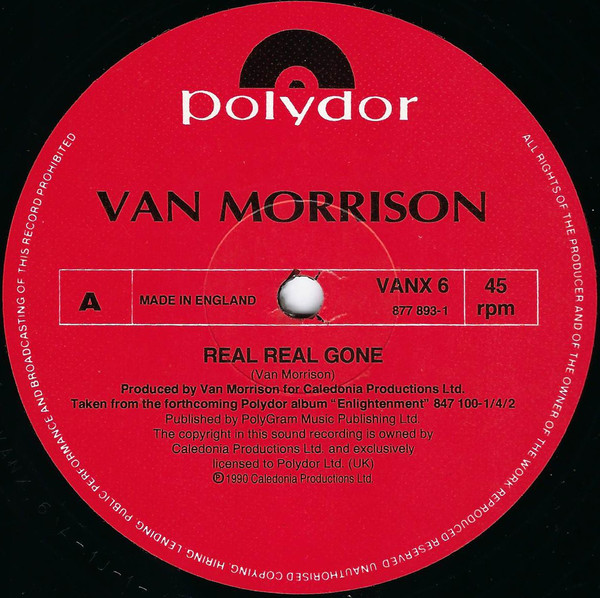 Van Morrison - Real Real Gone - Used Vinyl Record 12" image 3