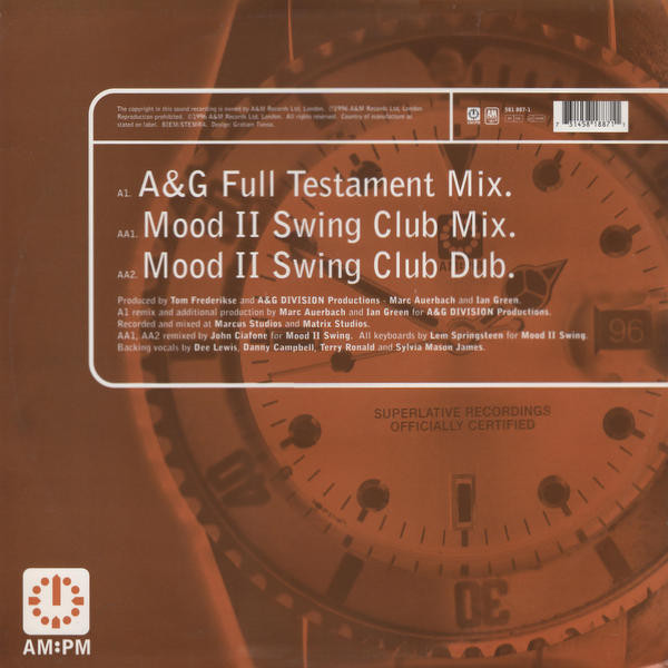 Sarah Washington - Everything (A&G / Mood II Swing Mixes) - Used Viny image 2