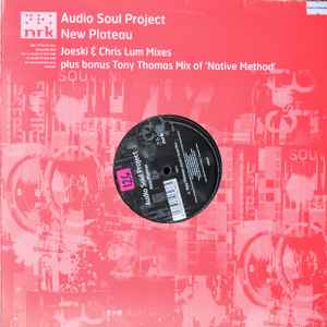 Audio Soul Project - New Plateau - Used Vinyl Record 12" image 1