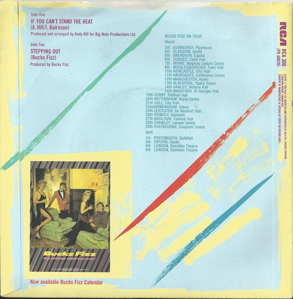 Bucks Fizz - If You Can't Stand The Heat - Used Vinyl Record 7" image 2