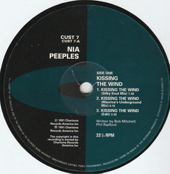 Nia Peeples - Kissing The Wind - Used Vinyl Record 12" image 3