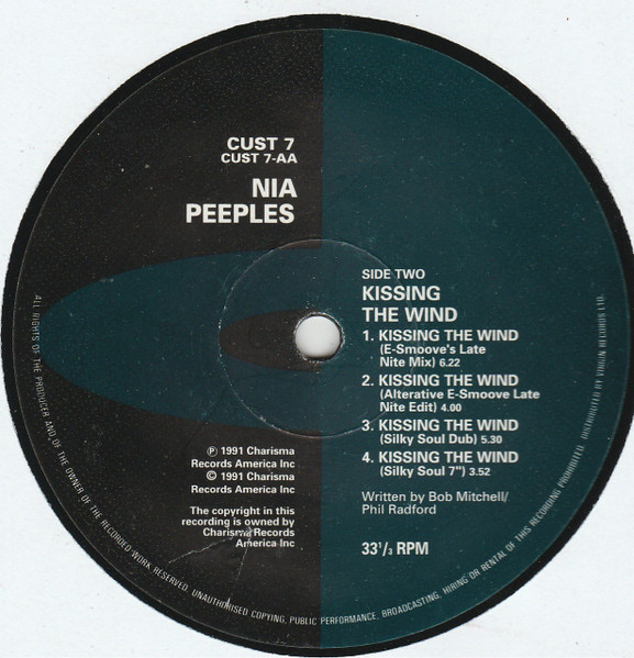 Nia Peeples - Kissing The Wind - Used Vinyl Record 12" image 4