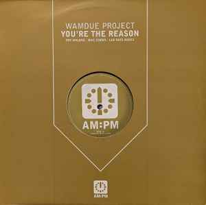 Wamdue Project - You're The Reason - Used Vinyl Record 12" image 1