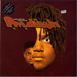 P.M. Dawn - Reality Used To Be A Friend Of Mine - Used Vinyl Record 1 image 1