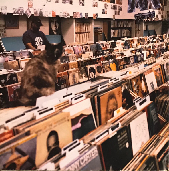 DJ Shadow - Endtroducing..... - Vinyl Record image 2