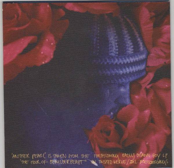 Badly Drawn Boy - Another Pearl - Used CD image 4