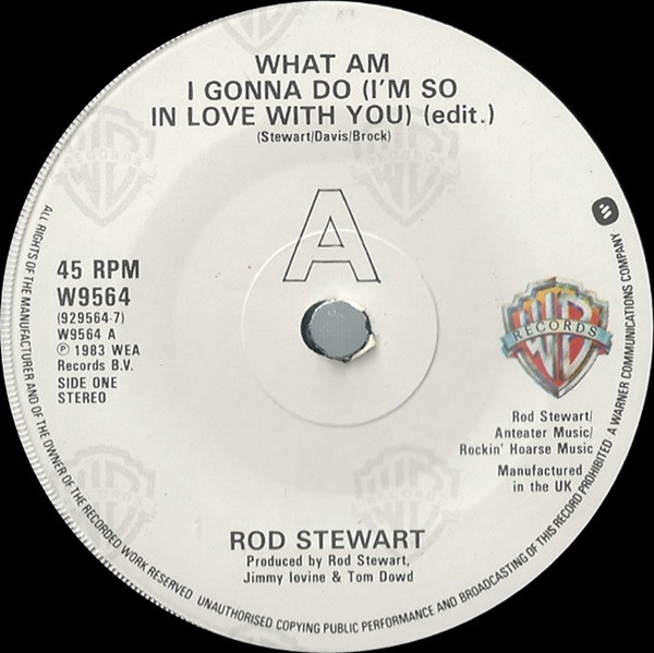 Rod Stewart - What Am I Gonna Do (I'm So In Love With You) - Used Vinyl image 3