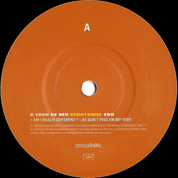Mr Quark - A Tour Of My Subatomic Zoo - Used Vinyl Record 7" image 3
