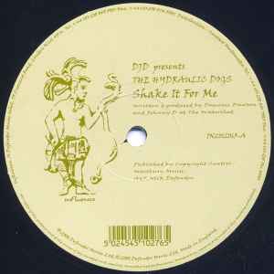 DJD - Shake It For Me - Used Vinyl Record 12" image 1