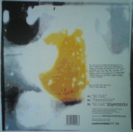 Rae & Christian - All I Ask - Used Vinyl Record 12" image 2