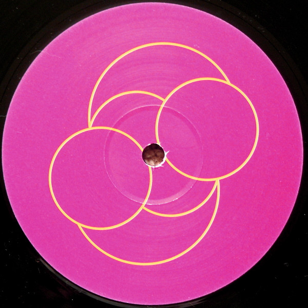 Todd Gardner - It's The Music (Homecookin'/Milton Jackson Remixes) - image 3