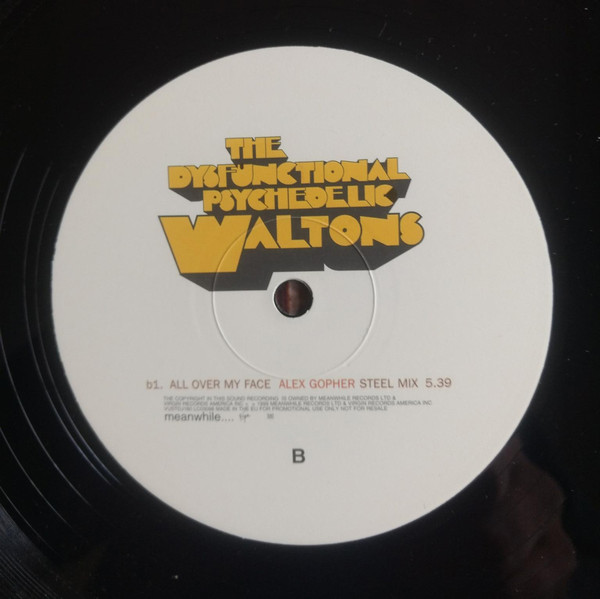 Dysfunctional Psyche - All Over My Face - Used Vinyl Record 12" image 4