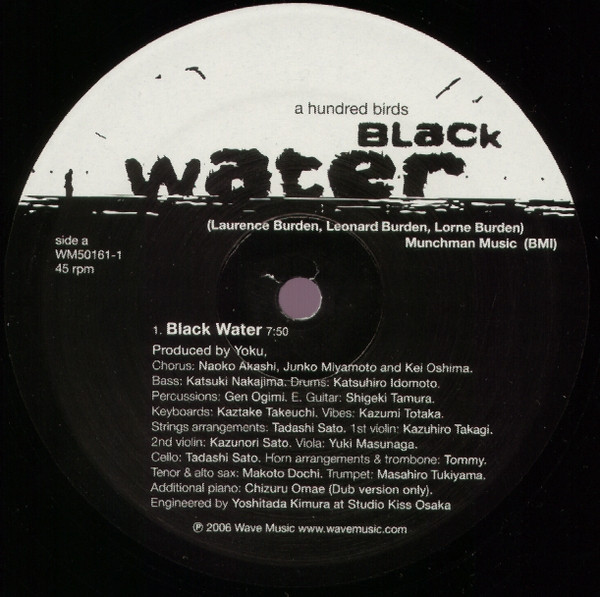 A Hundred Birds - Black Water - Vinyl Record 12" image 2