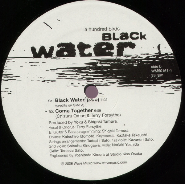 A Hundred Birds - Black Water - Vinyl Record 12" image 3