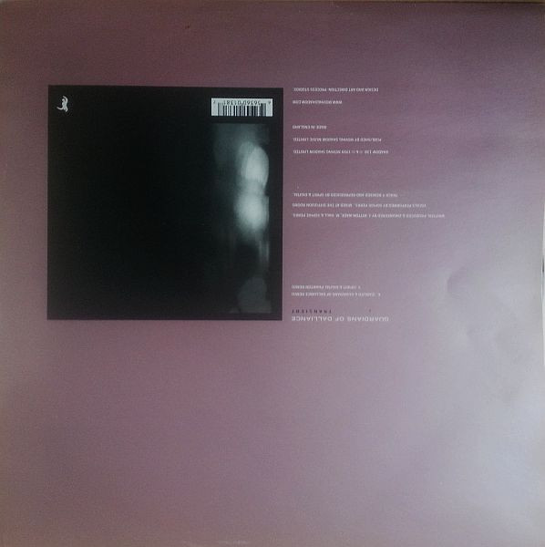 Guardians Of Dallian - Transient - Used Vinyl Record 12" image 2