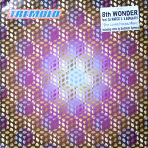 8th Wonder - She Loves House Music - Used Vinyl Record 12" image 1