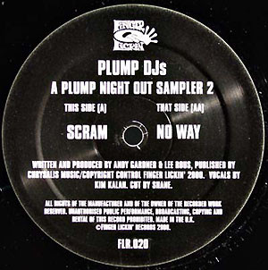 Plump DJs - A Plump Night Out (Sampler 2) - Vinyl Record 12" image 2