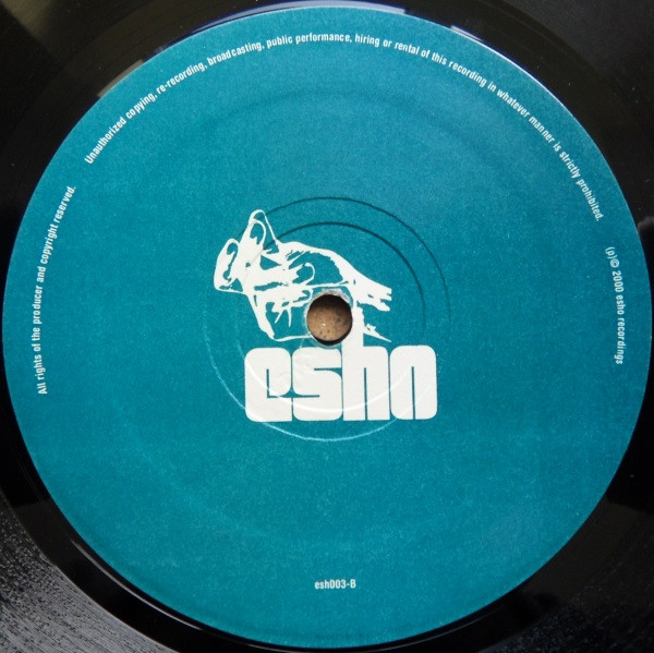 Dave Warrin - Shine On - Used Vinyl Record 12" image 3
