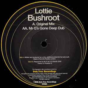 Lottie - Bushroot - Used Vinyl Record 12" image 1