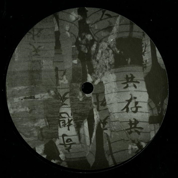 Eva808 - Psycho Sushi EP - Vinyl Record 12" image 2