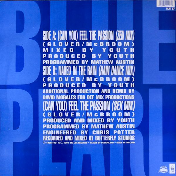 Blue Pearl - (Can You) Feel The Passion - Used Vinyl Record 12" image 2